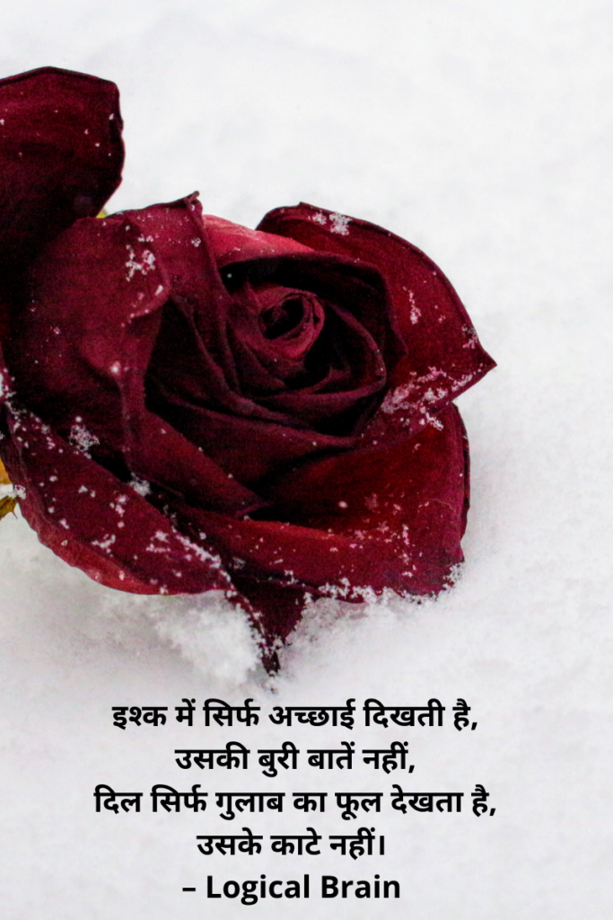 Rose Flower Shayari in Hindi