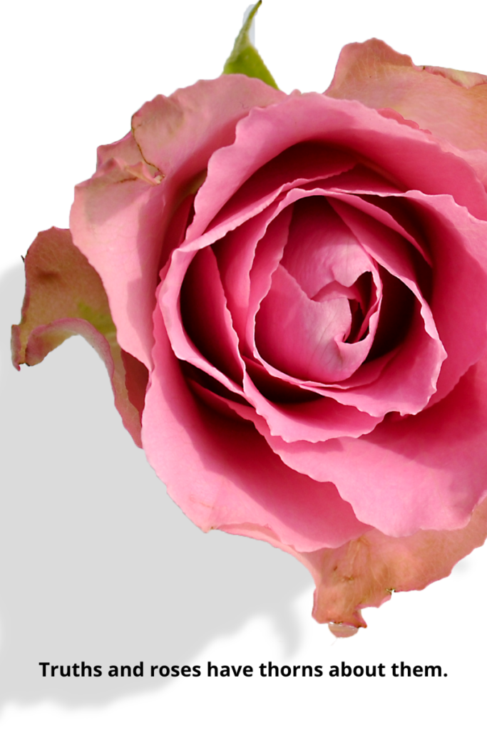 Rose Flower Shayari in Hindi and English